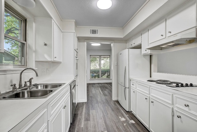 kitchen with crown molding, white cabinetry, sink, and exhaust hood