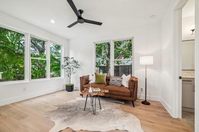 living area featuring ceiling fan and light hardwood / wood-style flooring