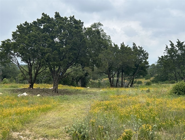 Listing photo 2 for LOT29 High Range Dr, Kingsland TX 78639