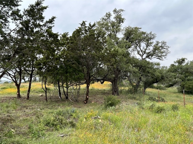 Listing photo 3 for LOT29 High Range Dr, Kingsland TX 78639