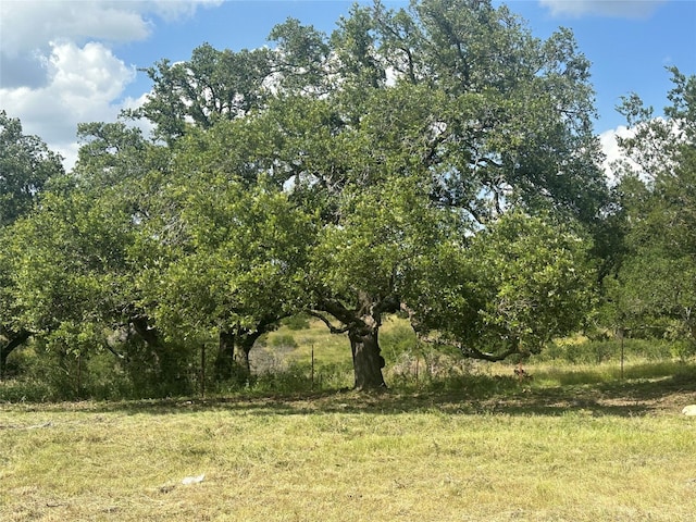 LOT29 High Range Dr, Kingsland TX, 78639 land for sale