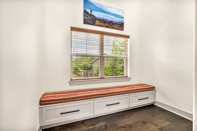 interior space featuring dark wood-type flooring