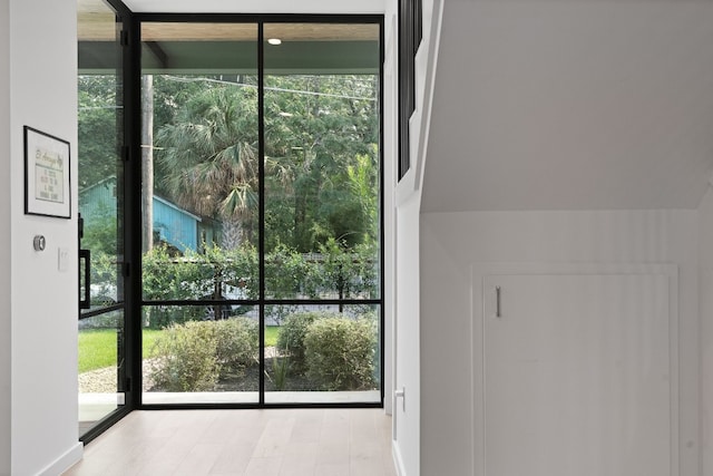 doorway featuring expansive windows and light wood-type flooring