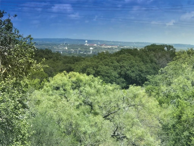 000 Dew Drop St, Horseshoe Bay, TX 78657