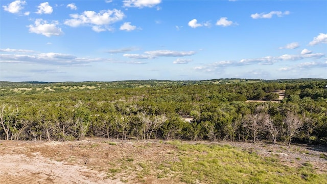 Listing photo 3 for LOT10 Ridgeway Trl, Johnson City TX 78636