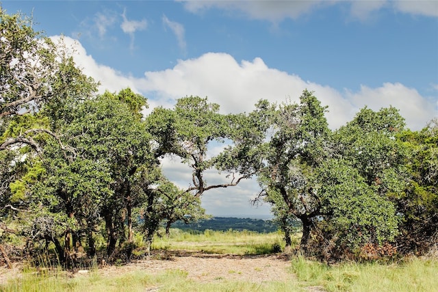 Listing photo 2 for LOT11 Ridgeway Trl, Johnson City TX 78636