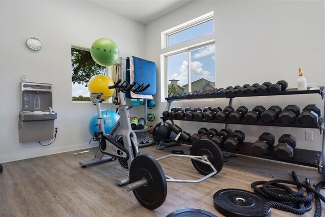 exercise room featuring hardwood / wood-style flooring