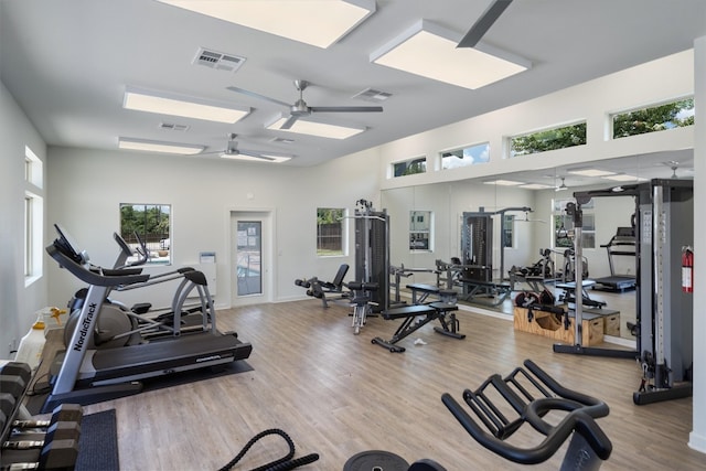 exercise room featuring light wood-type flooring and ceiling fan