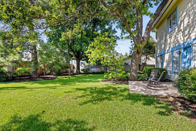 view of yard featuring a patio area