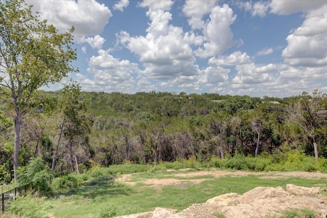 14208 Fort Smith Trl, Austin, TX 78734 - view of yard with a forest view