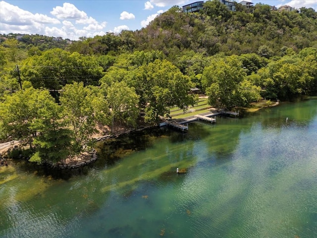 water view featuring a wooded view