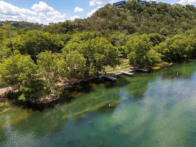14208 Fort Smith Trl, Austin, TX 78734 - water view with a forest