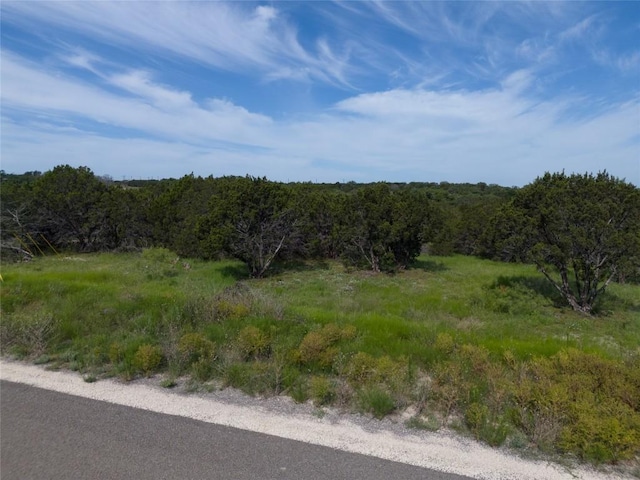 443 Deer Run Ct, Evant, TX 76525 - photo 6