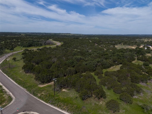 443 Deer Run Ct, Evant, TX 76525 - photo 1