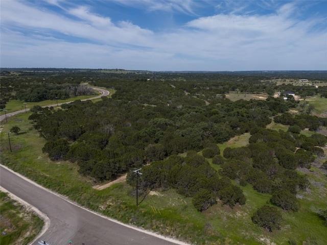 443 Deer Run Ct, Evant, TX 76525 - photo 7