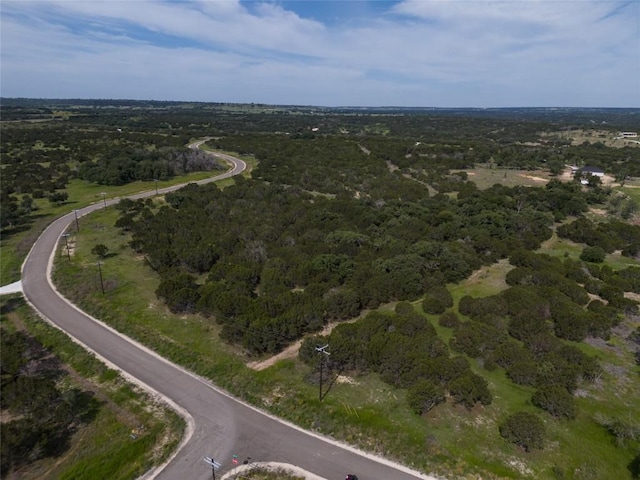 443 Deer Run Ct, Evant, TX 76525 - photo 8