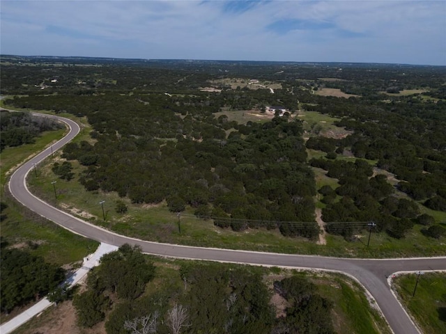 443 Deer Run Ct, Evant, TX 76525 - photo 9