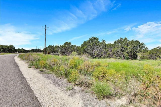 443 Deer Run Ct, Evant, TX 76525 - photo 4