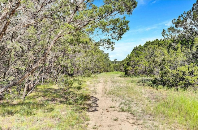 443 Deer Run Ct, Evant, TX 76525 - photo 15