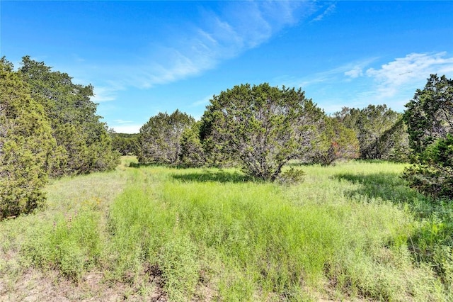 443 Deer Run Ct, Evant, TX 76525 - photo 16