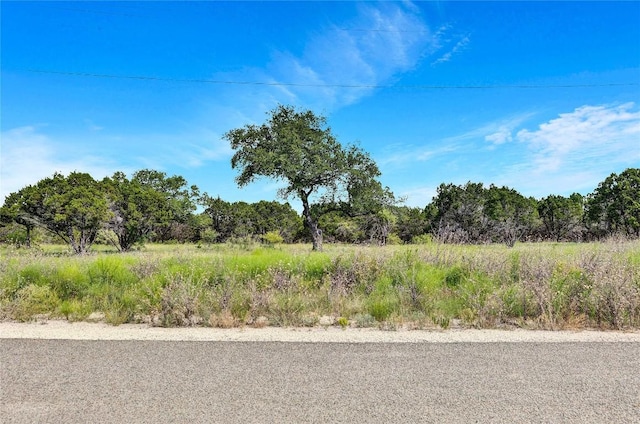 443 Deer Run Ct, Evant, TX 76525 - photo 3