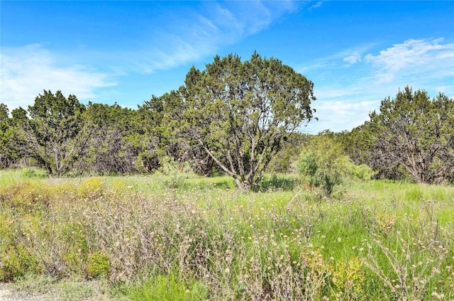 443 Deer Run Ct, Evant, TX 76525 - photo 17
