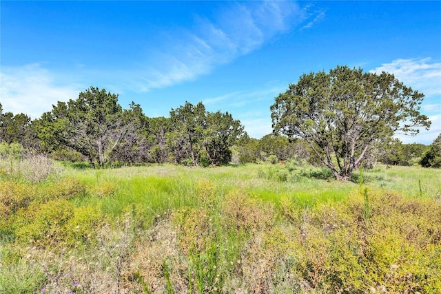 443 Deer Run Ct, Evant, TX 76525 - photo 5