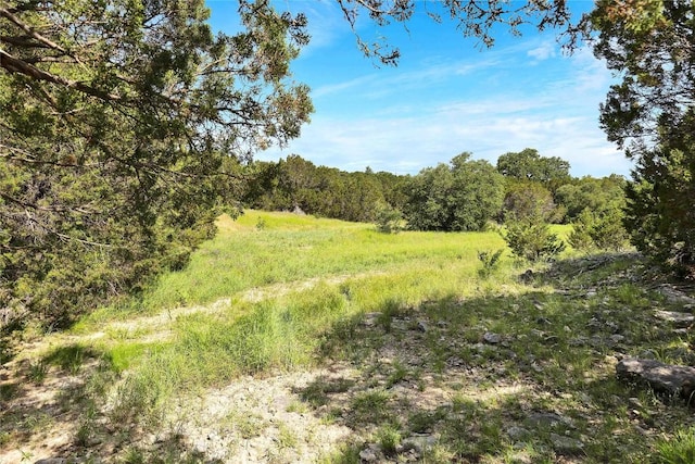 443 Deer Run Ct, Evant, TX 76525 - photo 20