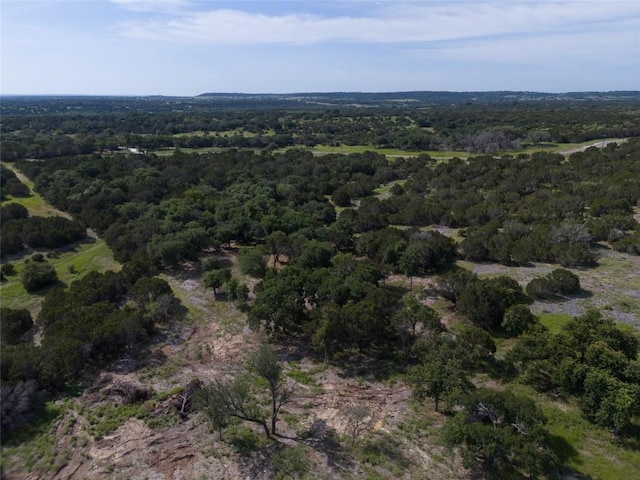 443 Deer Run Ct, Evant, TX 76525 - photo 10