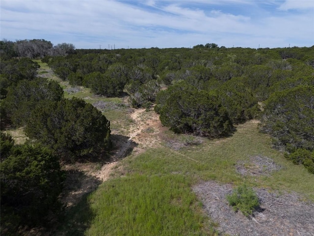 443 Deer Run Ct, Evant, TX 76525 - photo 13