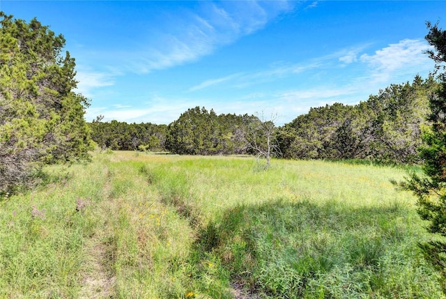 443 Deer Run Ct, Evant, TX 76525 - photo 18
