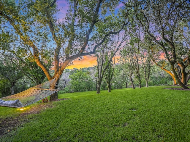 view of yard at dusk