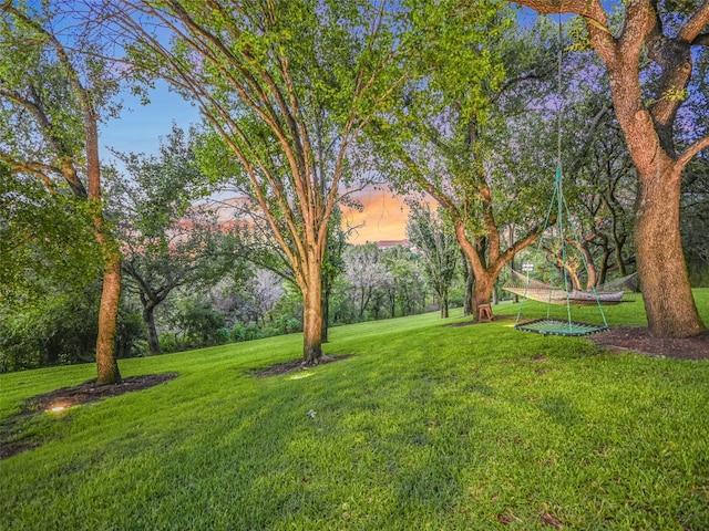 view of yard at dusk