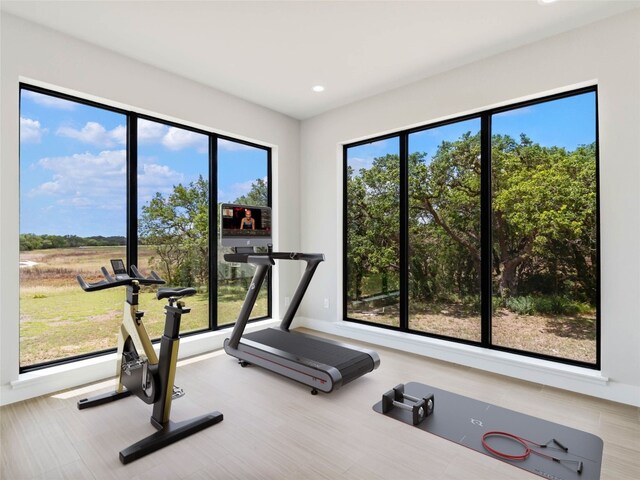 workout area featuring plenty of natural light