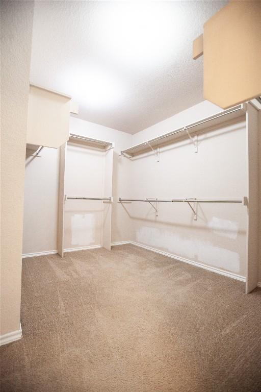 spacious closet with carpet