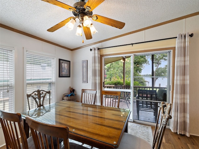 dining space featuring a textured ceiling, ornamental molding, wood-type flooring, and ceiling fan