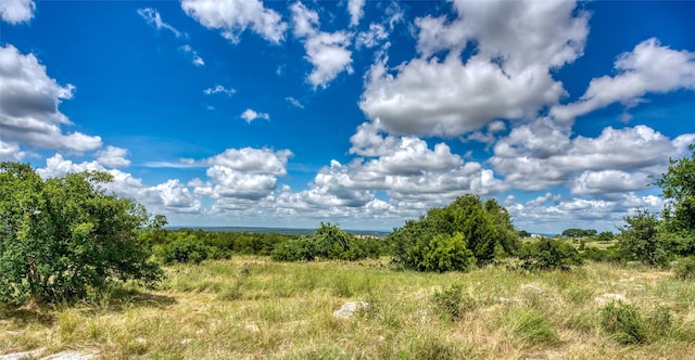 view of nature