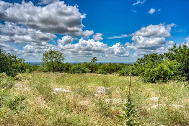 view of landscape