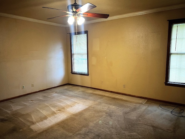 empty room with crown molding, carpet floors, and ceiling fan