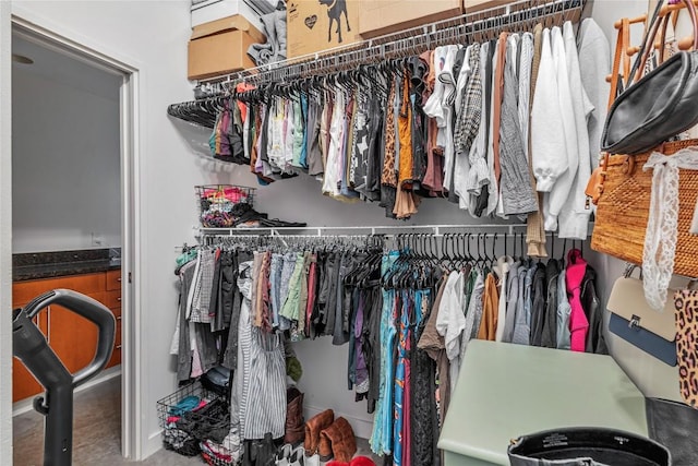 2124 E 6th St Unit 305, Austin, TX 78702 - view of walk in closet