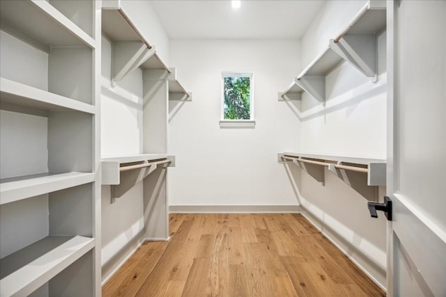 walk in closet featuring light hardwood / wood-style floors