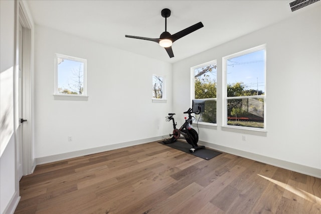 exercise room with hardwood / wood-style floors and ceiling fan