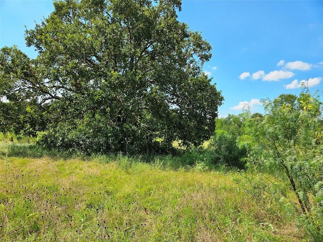 view of nature