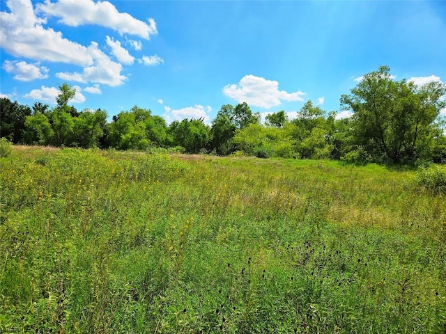 view of nature