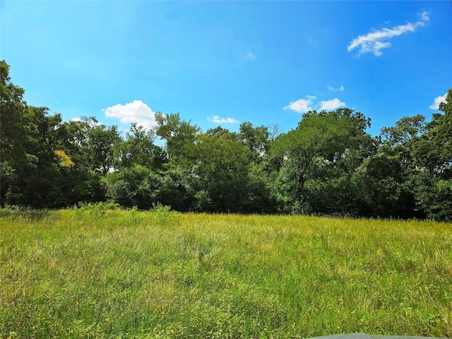 view of local wilderness