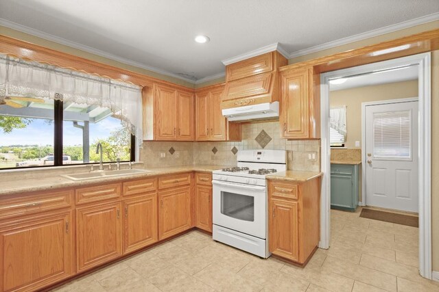 8712 Cele Rd Unit 1, Manor, TX 78653 - kitchen with white gas range, a sink, under cabinet range hood, tasteful backsplash, and ornamental molding