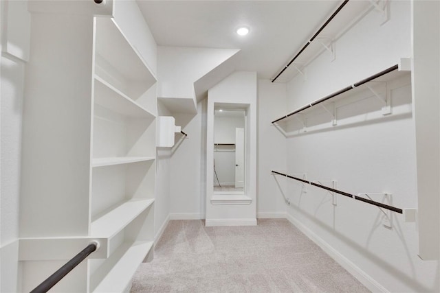 spacious closet with carpet