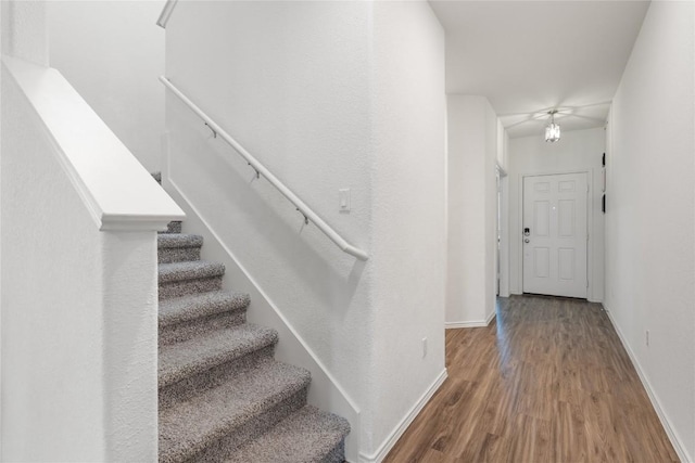 staircase featuring wood-type flooring