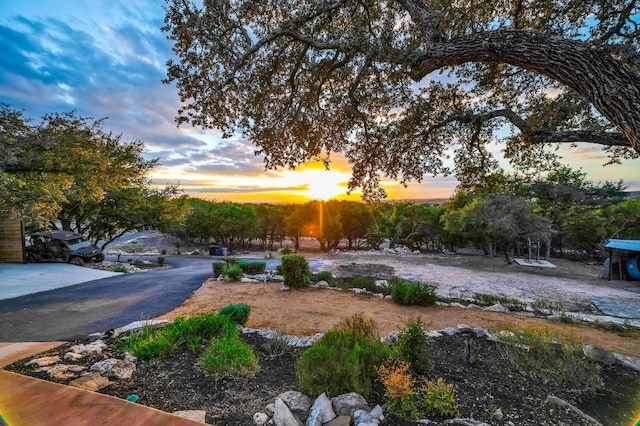 view of yard at dusk