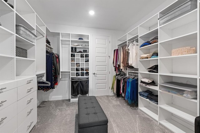 walk in closet featuring carpet